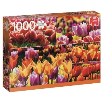 Holl&auml;ndische Tulpen (Puzzle)