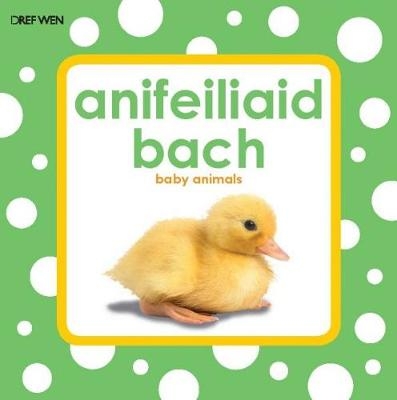 Anifeiliaid Bach: Llyfr Bath Gwichlyd - Keren Su
