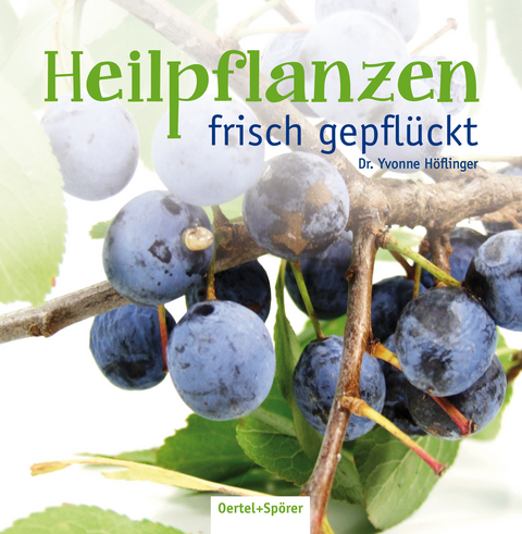 Heilpflanzen frisch gepfl&uuml;ckt - Yvonne H&ouml;flinger