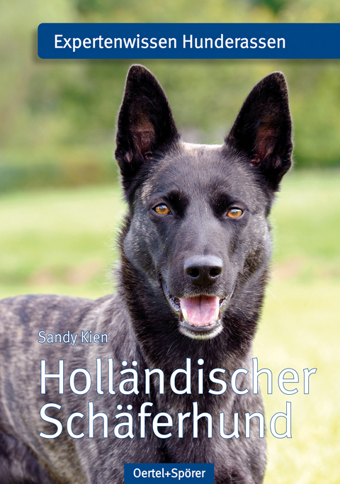 Holl&auml;ndischer Sch&auml;ferhund - Sandy Kien