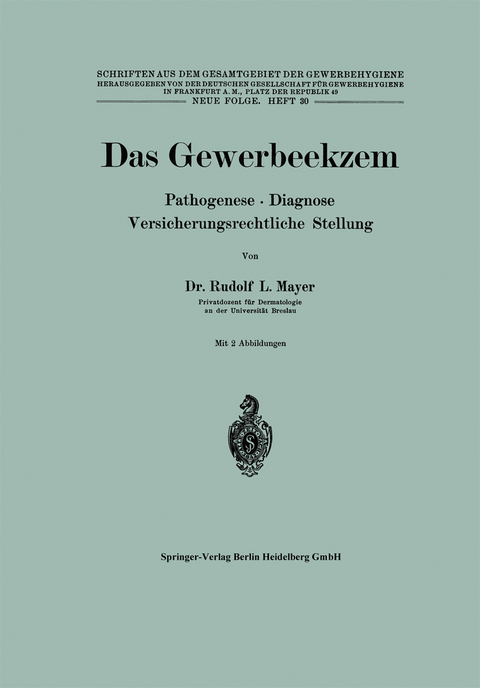 Das Gewerbeekzem - R. L. Mayer