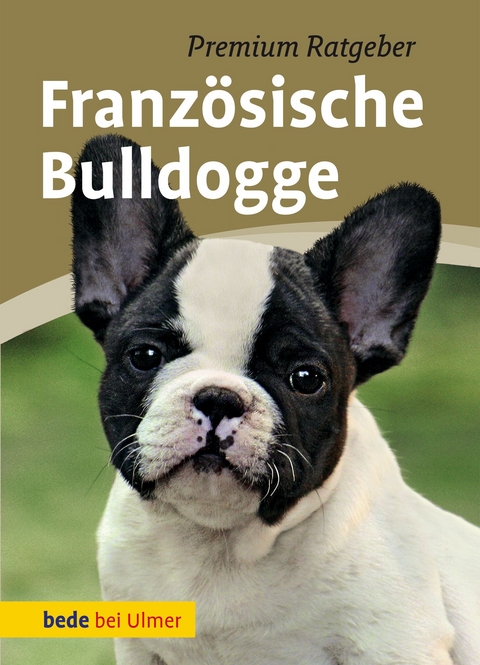 Franz&ouml;sische Bulldogge - Annette Schmitt