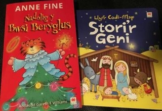 Pecyn Llyfr Codi Fflap Stori'r Geni a Nadolig y Bwsi Beryglus