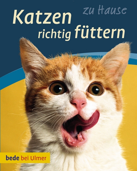 Katzen richtig füttern - Anna Laukner