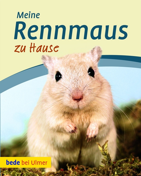 Meine Rennmaus zu Hause - Madlen Wendt
