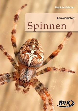 Lernwerkstatt Spinnen