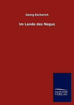 Im Landes des Negus