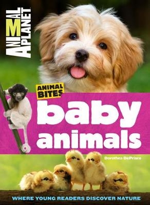 Animal Bites: Baby Animals - Dorothea DePrisco