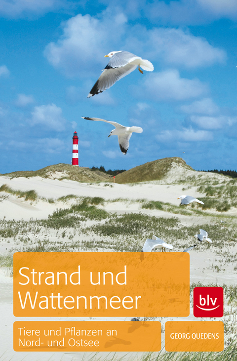 Strand und Wattenmeer - Georg Quedens