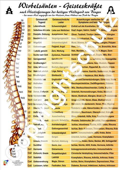 Wirbels&auml;ulen-Geisteskr&auml;fte - Tanja Aeckersberg