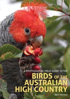 A Photographic Field Guide to the Birds of the Australian High Country - Neil Hermes