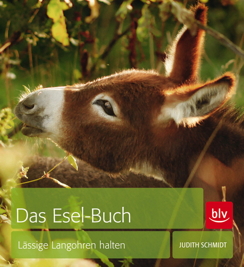 Das Esel-Buch - Judith Schmidt