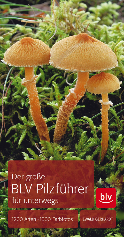 Der gro&szlig;e BLV Pilzf&uuml;hrer f&uuml;r unterwegs - Ewald Gerhardt
