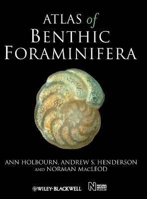 Atlas of Benthic Foraminifera - Ann Holbourn, Andrew S. Henderson, Norman MacLeod