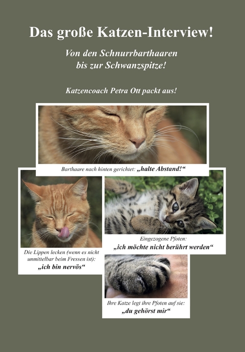 Das gro&szlig;e Katzen-Interview! - Petra Ott