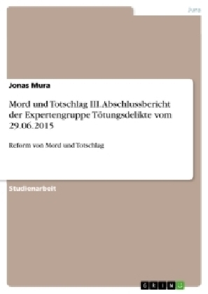 Mord und Totschlag III. Abschlussbericht der Expertengruppe T&Atilde;&para;tungsdelikte vom 29.06.2015 - Jonas Mura