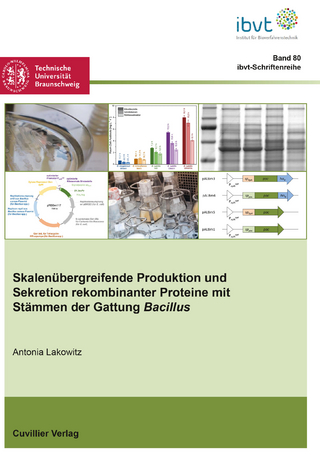 Skalenübergreifende Produktion und Sekretion rekombinanter Proteine mit Stämmen der Gattung Bacillus