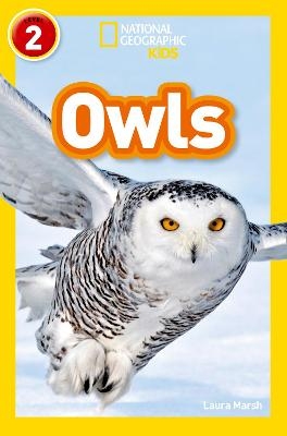 Owls
