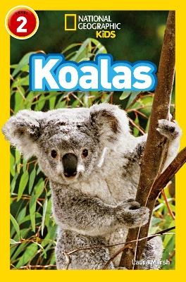 Koalas - Laura Marsh