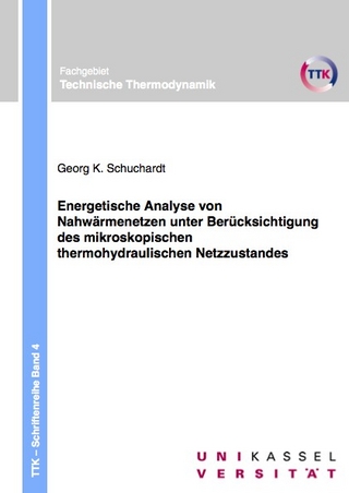 Energetische Analyse von Nahwärmenetzen unter Berücksichtigung des mikroskopischen thermohydraulischen Netzzustandes