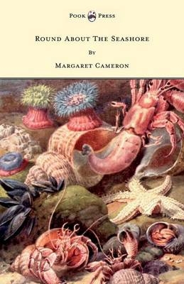 Round About The Seashore - With Eight Coloured Pictures - Margaret Cameron