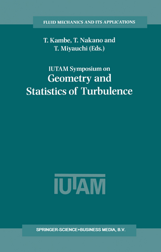 IUTAM Symposium on Geometry and Statistics of Turbulence