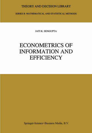 Econometrics of Information and Efficiency