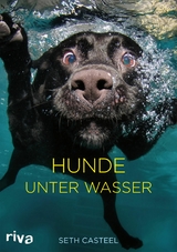 Hunde unter Wasser -  Seth Casteel