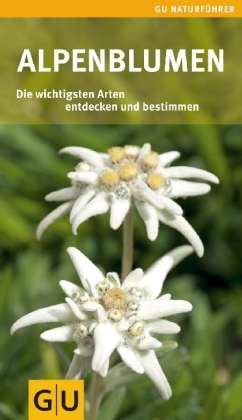 Alpenblumen - Helga Hofmann
