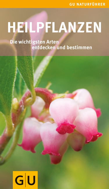 Heilpflanzen - Renate Hudak