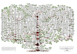 Stammbaum der Medizin