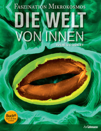 Die Welt von innen - Julie Coquart