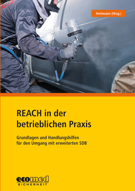 REACH in der betrieblichen Praxis - Monika Bless, Gabi B&uuml;ttner, Florian Gehlhaar, Kerstin Heitmann, Eileen Kranz, Nils Pagels, Susanne Zahn