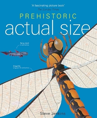 Prehistoric Actual Size - Steve Jenkins