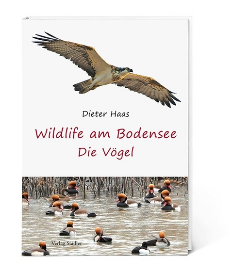 Wildlife am Bodensee - Haas Dieter