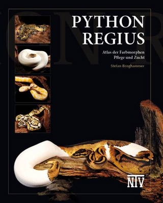 Python regius