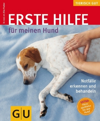 Erste Hilfe für meinen Hund