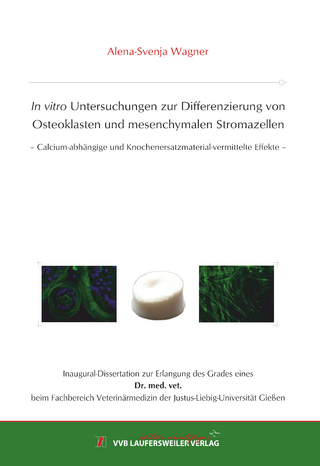 In vitro Untersuchungen zur Differenzierung von Osteoklasten und mesenchymalen Stromazellen