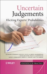 Uncertain Judgements - Anthony O'Hagan, Caitlin E. Buck, Alireza Daneshkhah, J. Richard Eiser, Paul H. Garthwaite, David J. Jenkinson, Jeremy E. Oakley, Tim Rakow