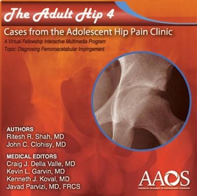 The Adult Hip - John C. Clohisy, Ritesh R. Shah
