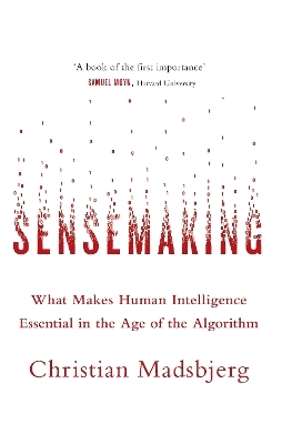 Sensemaking - Christian Madsbjerg