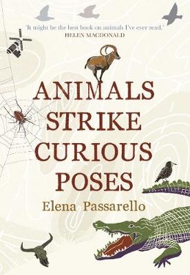 Animals Strike Curious Poses - Elena Passarello
