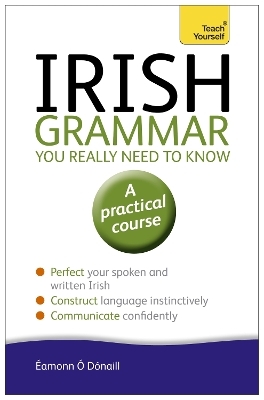 Irish Grammar You Really Need to Know: Teach Yourself - &Eacute;amonn &Oacute;'D&oacute;naill