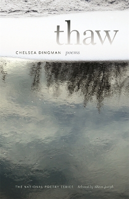 Thaw - Chelsea Dingman