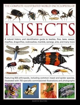 Complete Illustrated World Encyclopedia of Insects -  Walters Martin