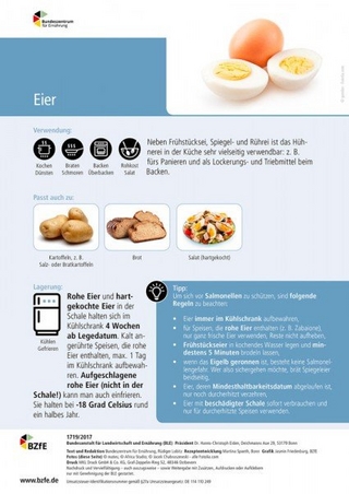 Lebensmittel-Infoblatt: Eier