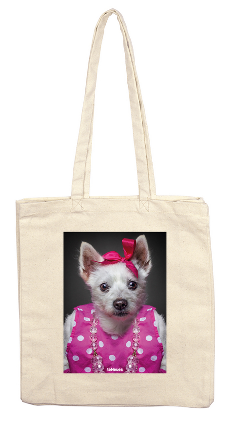 Dog Kiba, Stofftasche