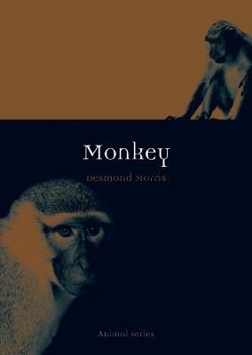 Monkey - Desmond Morris