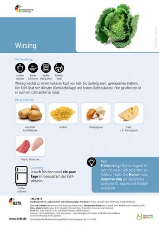 Lebensmittel-Infoblatt: Wirsing