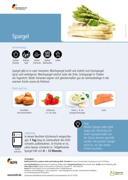 Lebensmittel-Infoblatt: Spargel - Rüdiger Lobitz, Martina Spaeth